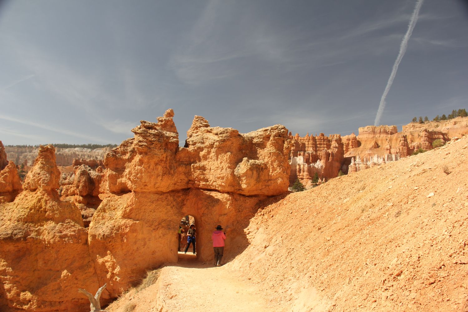 Queens/Navajo 